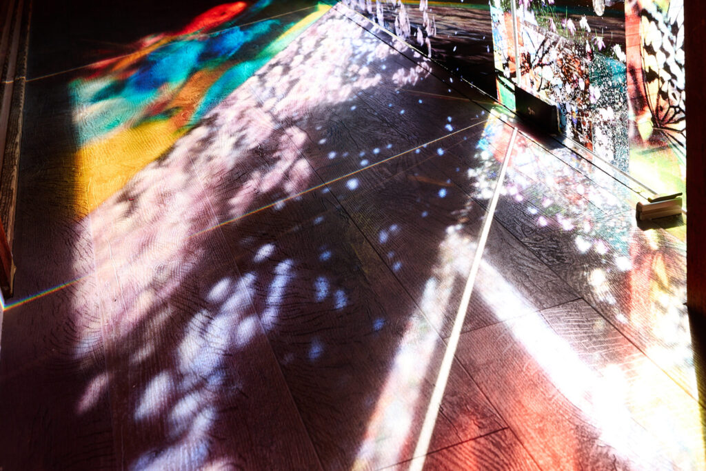アート・デザイン・音楽 MIKANINAGAWA introductionbyDaidoMoriyama Amazon | Mika Ninagawa | Daido Moriyama, Antonio Marras, Anna Sui